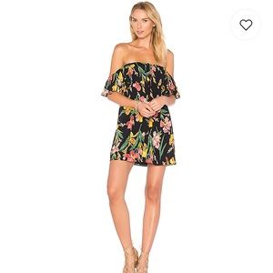Privacy Please Norval Dress from Revolve